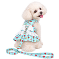 El Vestidito de Fresas con Arnés — Solo perros pequeños · Azul aqua · sin fondo